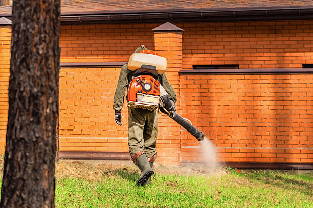 Trusted Cockroach Control service in Tompkinsville, KY - Nex Pest Control
